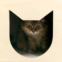 Каталог табурет-крышка для лотка котика <решето> от ARCHPOLE